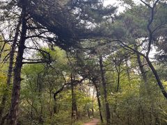 -北陵公园