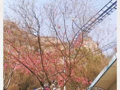 -抱犊寨风景区