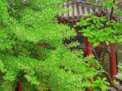 -宣武艺园