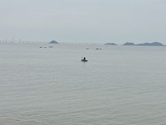 -野狸岛