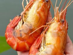 -徐岛主·特色农家乐(阳澄湖莲花岛店)