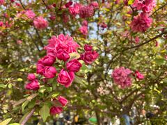 -元大都城垣遗址公园