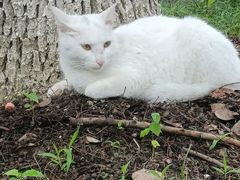 -江南大学(蠡湖校区)