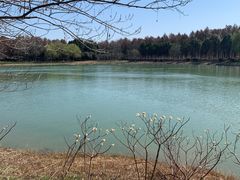 -苏州太湖国家湿地公园