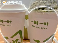 -一树一叶·福建茶档(石鼓路店)