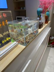 -克丽缇娜