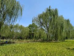 -北坞公园