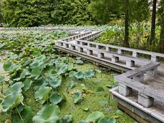 -白塘生态植物园