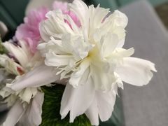 -南堂馆·新川菜(春熙路店)