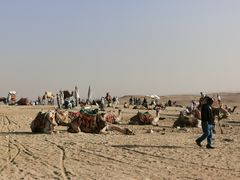 景点-吉萨金字塔群