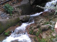 -天目湖松岭竹海漂流