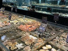 -浩运·海鲜青岛菜·海胆水饺(石老人店)