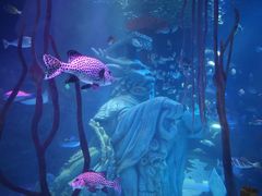 -沈阳海洋探索中心