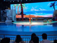 -三亚海昌梦幻海洋不夜城