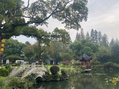 -杭州西湖柳莺里酒店