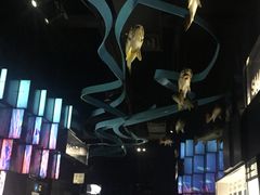 -同济大学四平路校区深海探索馆