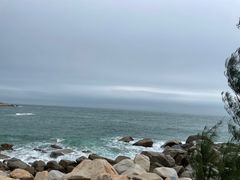 -广东惠东海龟国家级自然保护区