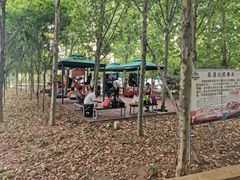 -渔岛海洋度假区