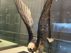 -青藏高原自然博物馆