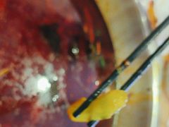 -金鼎雪山牦牛杂火锅(理县总店)