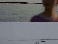 -合肥滨湖国家森林公园