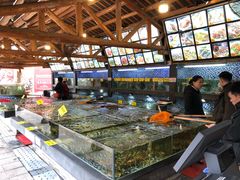 水产区-顺德了能馆(虎门店)