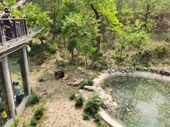 -石家庄市动物园