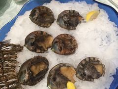 -海鲨湾海鲜会馆(百家湖1912店)