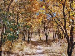 -玉渡山自然风景区