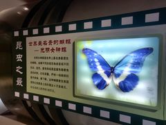 -上海昆虫博物馆