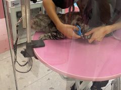 -FAELING PETS美天灵宠物(合生汇店)
