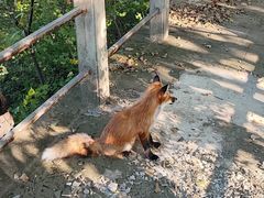 -萨尔浒风景区