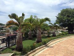 IMG_0949-三亚亚龙湾凯莱仙人掌度假酒店