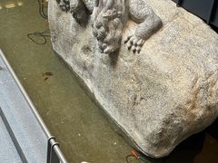 -单家老院·院子里的青岛菜(沙子口店)