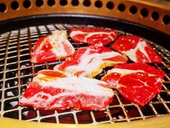 -唯成•韩国炭火烤肉 유성고기