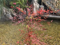 -耕渔小院·湖南鱼鲜(望城店)