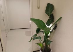 -美丽妈妈产后恢复中心(三林店)