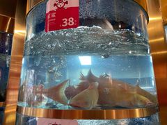 -蜀滋香鲜鱼美蛙火锅(339店)