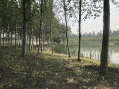 -东郊湿地公园