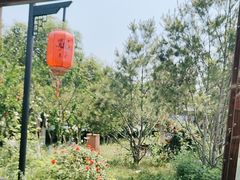 -后海彼岸花园餐厅