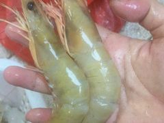 -龙溪海鲜酒家(溪涌店)