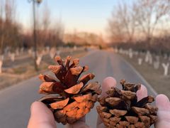 -永定河休闲森林公园