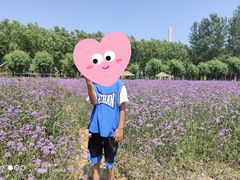 -北戴河集发农业梦想王国