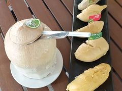 -榴莲BB 四季果园