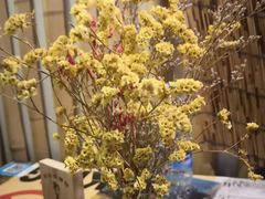 -蘭葶花酒馆(鼓楼店)