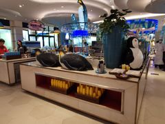 自助取餐区-帝企鹅自助餐厅•儿童岛•真企鹅(长隆企鹅酒店)