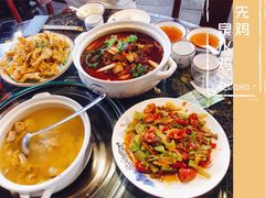 -先机泉水鸡汤(南山老君洞店)