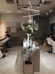 -眉毛先生MrBrow修眉染眉化妆
