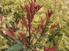 -白鹭湾湿地公园