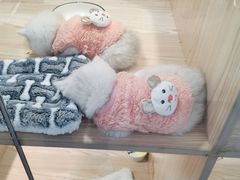 -屋虎猫馆(宝安大仟里店)